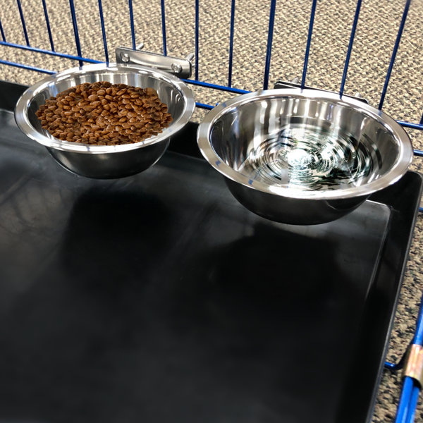 Are Copper Dog Bowls Safe